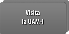 visita